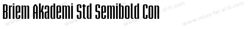 Briem Akademi Std Semibold Cond字体转换